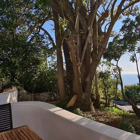 Il Gabbiano Ponza